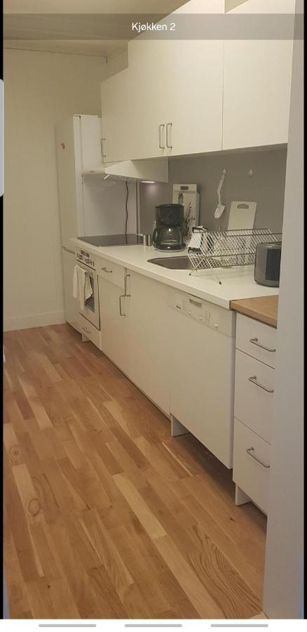 Blue House Brevik Porsgrunn Apartment Екстериор снимка